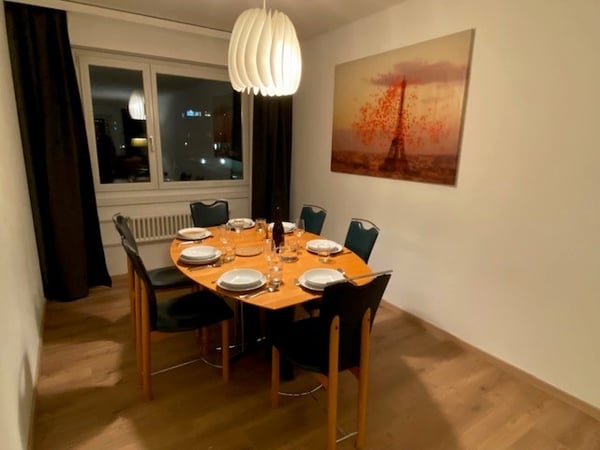 1½ ZI-WOHNUNG IN VOLKETSWIL (ZH), MÖBLIERT 2