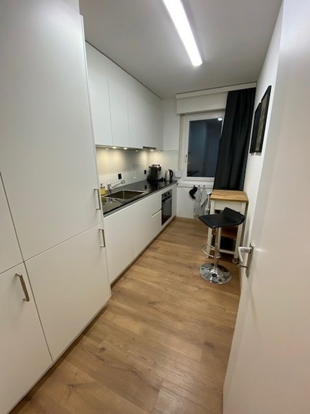 1½ ZI-WOHNUNG IN VOLKETSWIL (ZH), MÖBLIERT 4