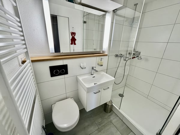 1 ZIMMER-HAUS IN SCHNEISINGEN (AG), MÖBLIERT, TEMPORÄR 9