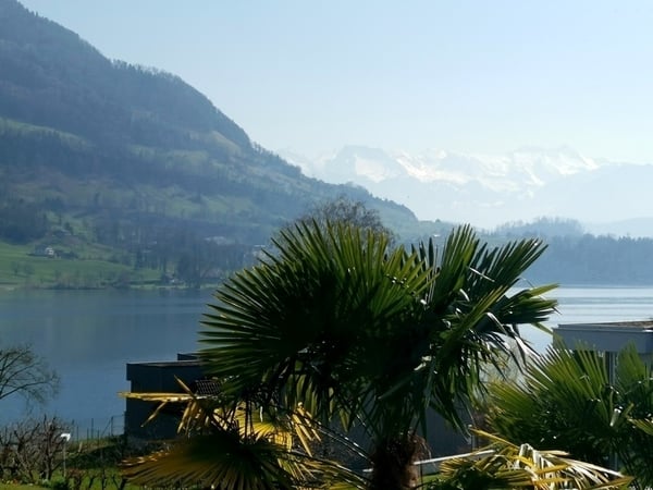 1 ZI-WOHNUNG IN MERLISCHACHEN (SZ), MÖBLIERT, TEMPORÄR 10