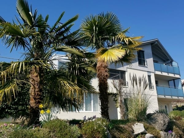 1 ZI-WOHNUNG IN MERLISCHACHEN (SZ), MÖBLIERT, TEMPORÄR 1