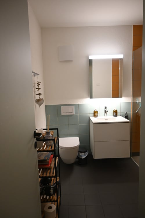 1½ ZI-WOHNUNG IN THALWIL (ZH), MÖBLIERT, TEMPORÄR 7