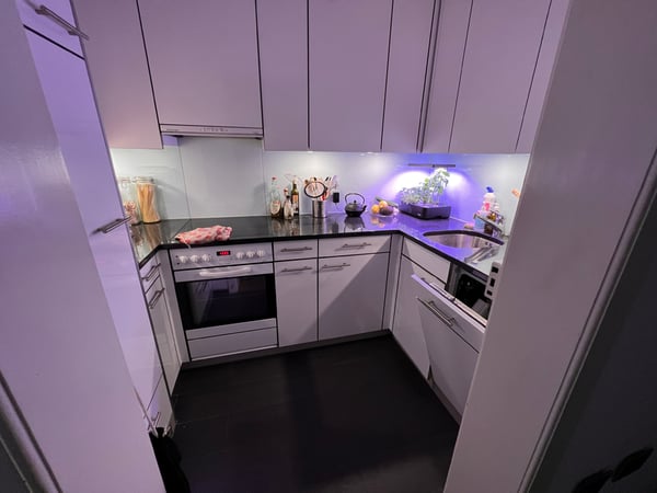 1 ZI-WOHNUNG IN BERN - ALTSTADT, MÖBLIERT, TEMPORÄR 4