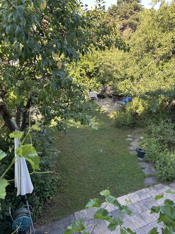 FÜR KATZENLIEBHABER IN BERN - WYLERGUT, MÖBLIERT, TEMPORÄR 9