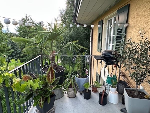 1½ ZI-WOHNUNG IN THUN (BE), MÖBLIERT, TEMPORÄR 8