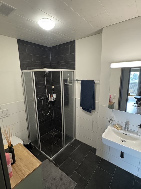 1½ ZI-WOHNUNG IN TRACHSLAU (SZ), MÖBLIERT, TEMPORÄR 7