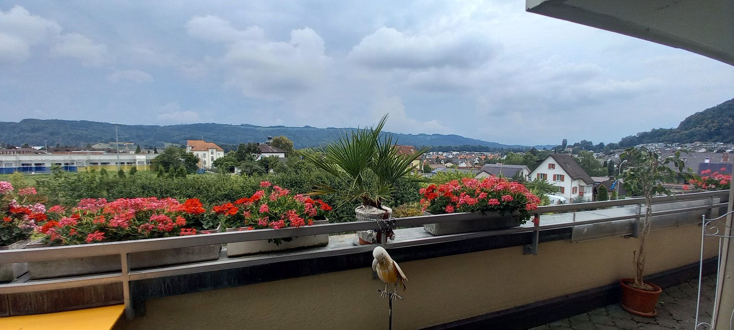 Bild 3½ ZI-WOHNUNG IN WÜRENLOS (ZH), MÖBLIERT, TEMPORÄR
