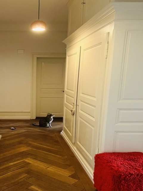 1½ ZI-WOHNUNG IN ZÜRICH - KREIS 1, MÖBLIERT, TEMPORÄR 6