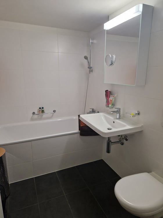 1½ ZI-WOHNUNG IN LOCARNO (TI), MÖBLIERT, TEMPORÄR 4