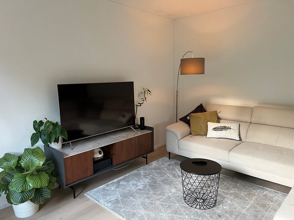 1½ ZI-WOHNUNG IN ZÜRICH - KREIS 2 WOLLISHOFEN, MÖBLIERT 2