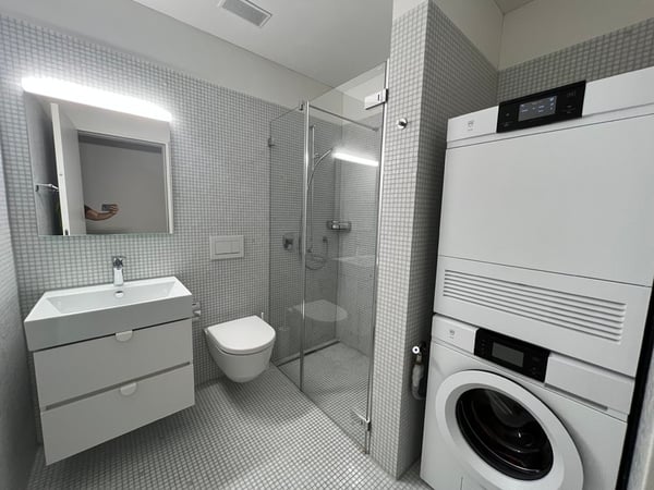 1½ ZI-WOHNUNG IN ZÜRICH - KREIS 2 WOLLISHOFEN, MÖBLIERT 10