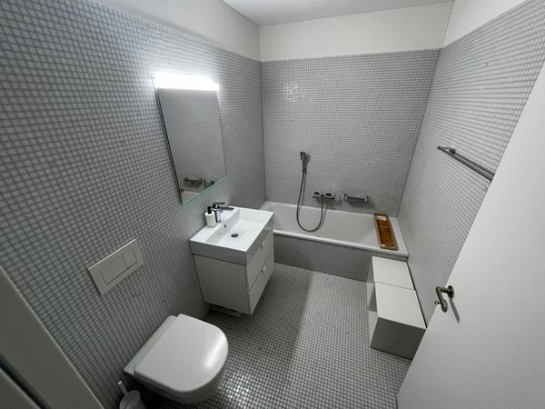 1½ ZI-WOHNUNG IN ZÜRICH - KREIS 2 WOLLISHOFEN, MÖBLIERT 9