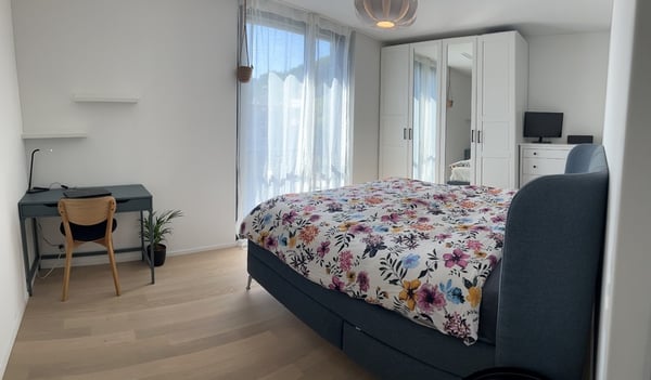 1½ ZI-WOHNUNG IN ZÜRICH - KREIS 2 WOLLISHOFEN, MÖBLIERT 5