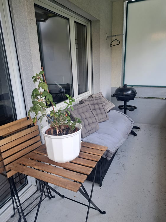 1 ZI-WOHNUNG IN THUN (BE), MÖBLIERT, TEMPORÄR 5