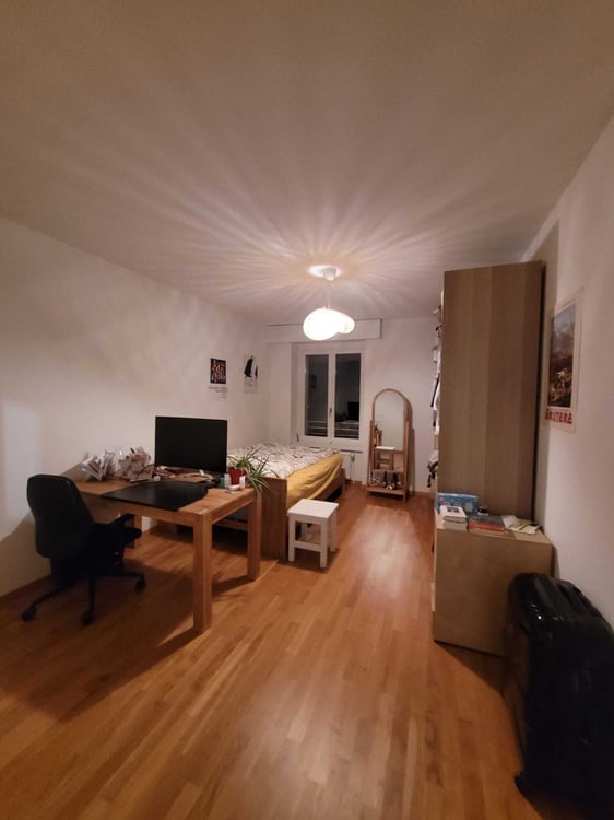 1 ZI-WOHNUNG IN LUZERN, MÖBLIERT, TEMPORÄR 5