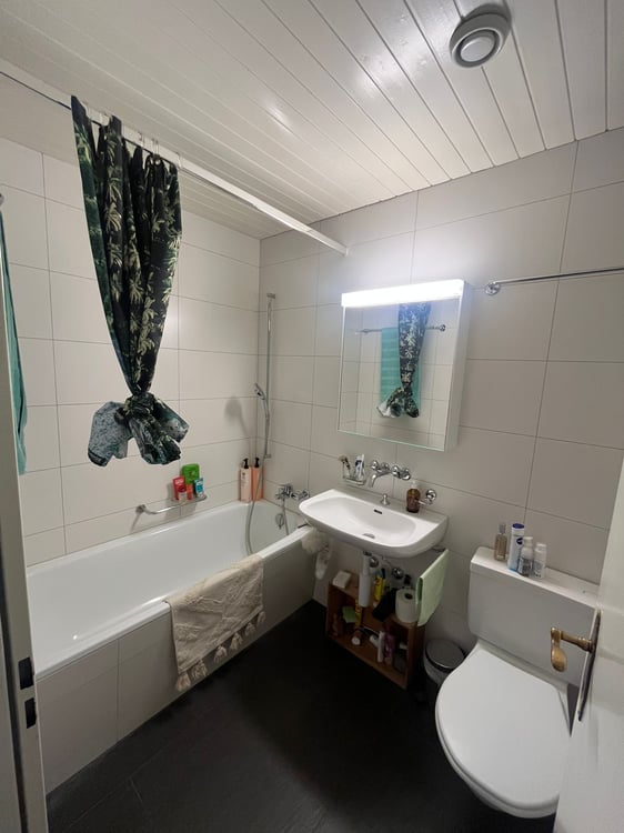 1 ZI-WOHNUNG IN LUZERN, MÖBLIERT, TEMPORÄR 9