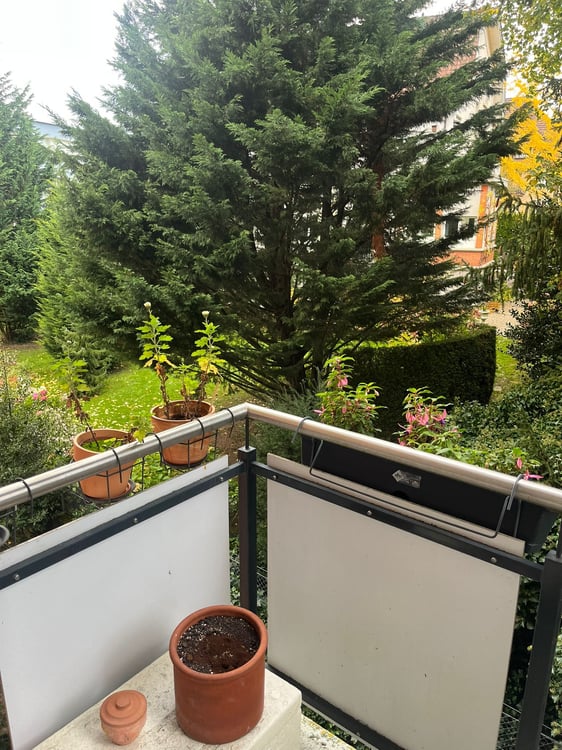 1 ZI-WOHNUNG IN LUZERN, MÖBLIERT, TEMPORÄR 11