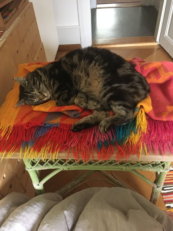 1 ZI-WOHNUNG IN BERN - OBSTBERG/SCHOSSHALDE, MÖBLIERT, TEMPORÄR 8