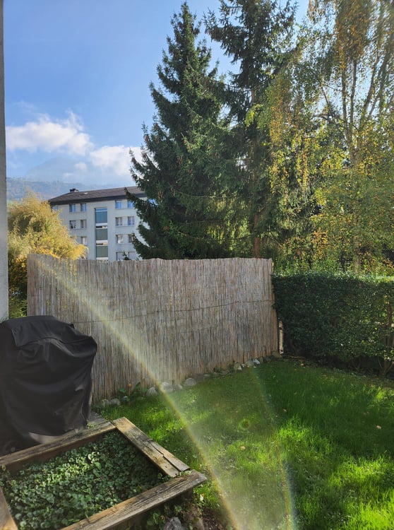 1½ ZI-WOHNUNG IN KÜSSNACHT AM RIGI (SZ), MÖBLIERT, TEMPORÄR 8