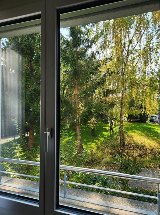 1½ ZI-WOHNUNG IN KÜSSNACHT AM RIGI (SZ), MÖBLIERT, TEMPORÄR 10