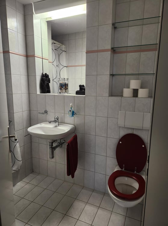 1½ ZI-WOHNUNG IN KÜSSNACHT AM RIGI (SZ), MÖBLIERT, TEMPORÄR 6