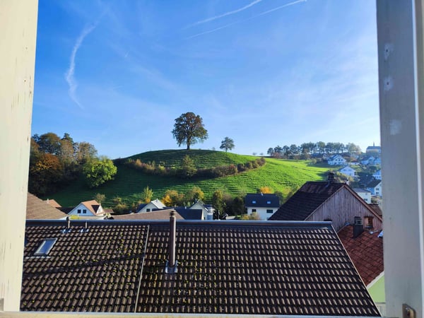 FÜR EINE EINZEPLPERSON IN ALTSTÄTTEN (SG), MÖBLIERT, TEMPORÄR 9