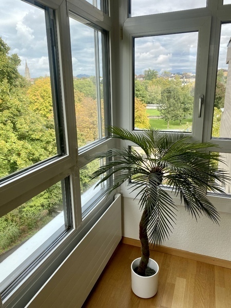 1 ZI-WOHNUNG IN BERN - MARZILI, MÖBLIERT, TEMPORÄR 9