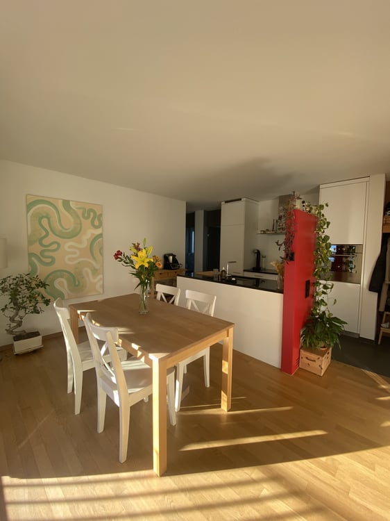 1½ ZI-WOHNUNG IN ZÜRICH - KREIS 9 ALBISRIEDEN, MÖBLIERT, TEMPORÄR 2