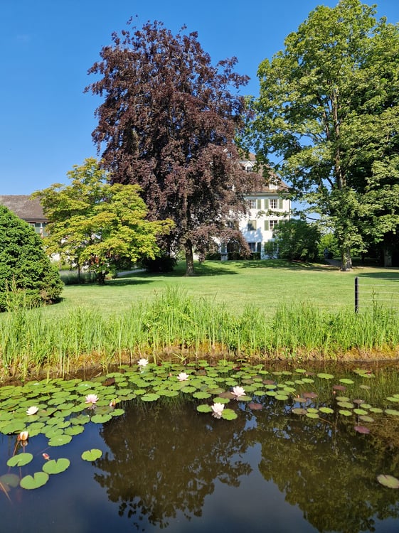 1½ ZI-WOHNUNG IN GACHNANG (TG), MÖBLIERT, TEMPORÄR 7