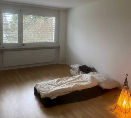 1½ ZI-WOHNUNG IN ZÜRICH - KREIS 10 HÖNGG, MÖBLIERT, TEMPORÄR 5
