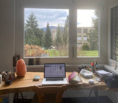 1½ ZI-WOHNUNG IN ZÜRICH - KREIS 10 HÖNGG, MÖBLIERT, TEMPORÄR 2