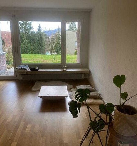 1½ ZI-WOHNUNG IN ZÜRICH - KREIS 10 HÖNGG, MÖBLIERT, TEMPORÄR 3