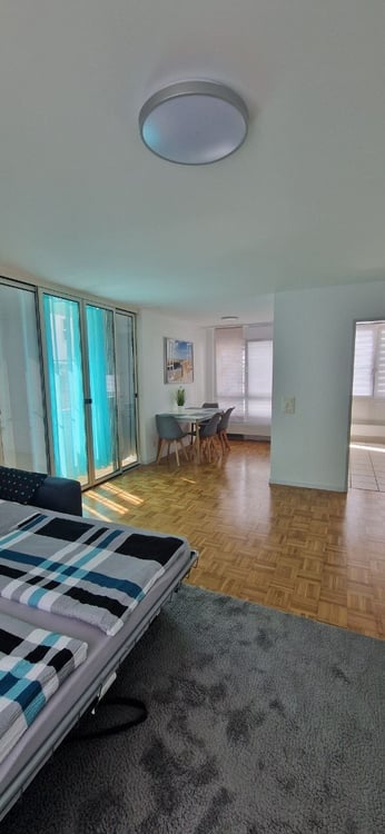 1½ ZI-WOHNUNG IN LANGWIESEN (ZH), MÖBLIERT, TEMPORÄR 8