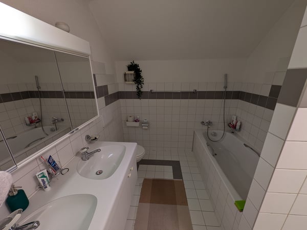 1½ ZI-WOHNUNG IN DÜBENDORF (ZH), MÖBLIERT, TEMPORÄR 5