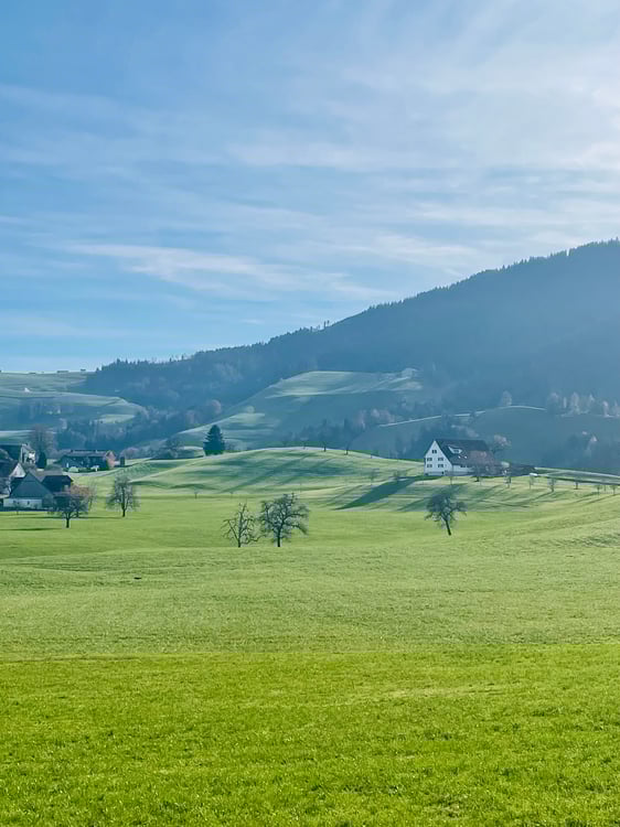 2 ZIMMER-ATTIKAWOHNUNG IN HÜTTEN (ZH), MÖBLIERT, TEMPORÄR 3