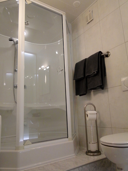 2 ZI-WOHNUNG IN OBERGÖSGEN (SO), MÖBLIERT 5