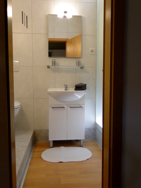 2 ZI-WOHNUNG IN OBERGÖSGEN (SO), MÖBLIERT 4