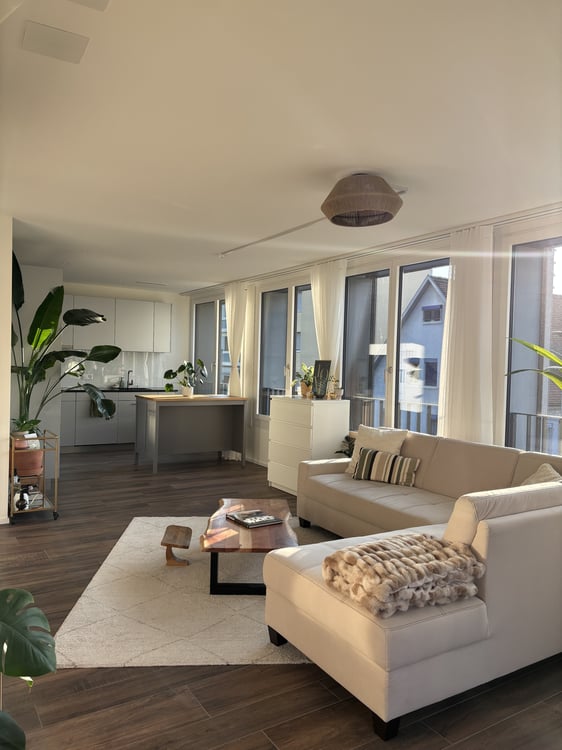 1½ ZI-WOHNUNG IN PRATTELN (BL), MÖBLIERT, TEMPORÄR 3