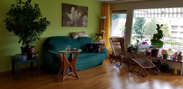 1 ZI-WOHNUNG IN LUZERN, MÖBLIERT, TEMPORÄR 1