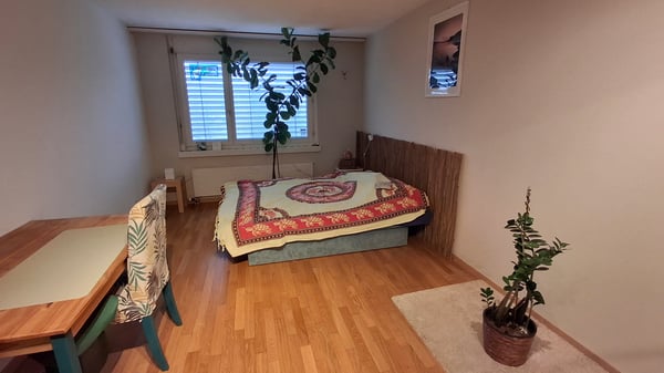 1 ZI-WOHNUNG IN LUZERN, MÖBLIERT, TEMPORÄR 3