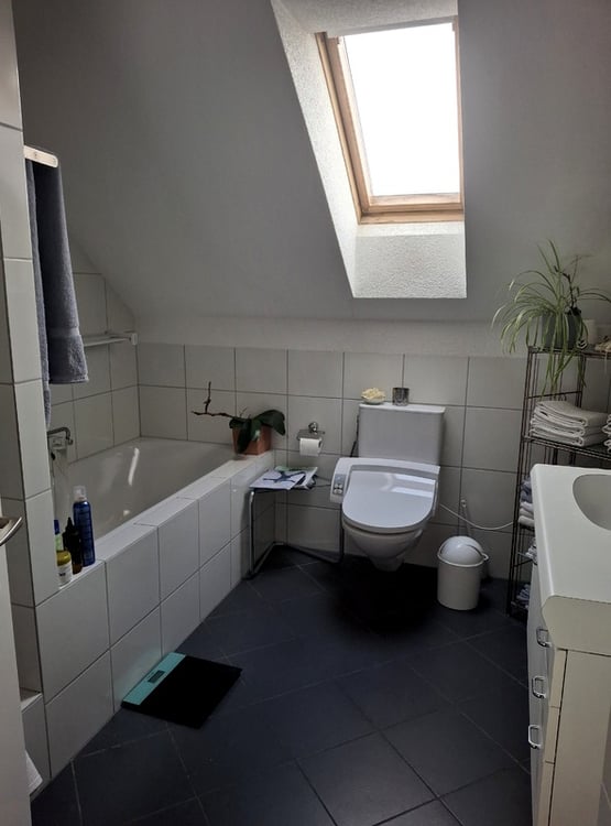 1½ ZIMMER-DACHWOHNUNG IN EBMATINGEN (ZH), MÖBLIERT, TEMPORÄR 10