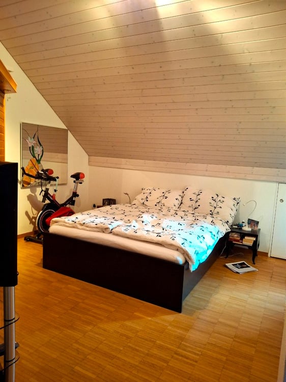 1½ ZIMMER-DACHWOHNUNG IN EBMATINGEN (ZH), MÖBLIERT, TEMPORÄR 6