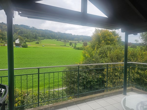 1½ ZI-WOHNUNG IN EGG B. ZÜRICH (ZH), MÖBLIERT, TEMPORÄR 2