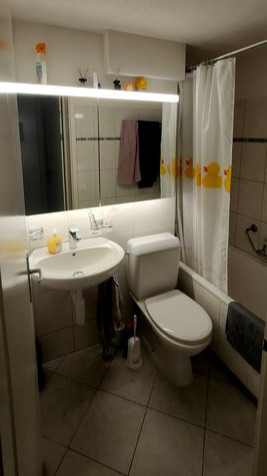 1½ ZI-WOHNUNG IN WORBLAUFEN (BE), MÖBLIERT, TEMPORÄR 4