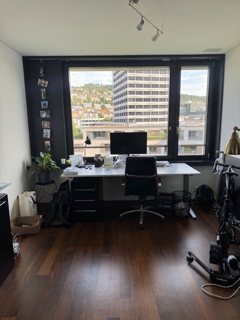 1½ ZI-WOHNUNG IN ZÜRICH - KREIS 5, MÖBLIERT, TEMPORÄR 5