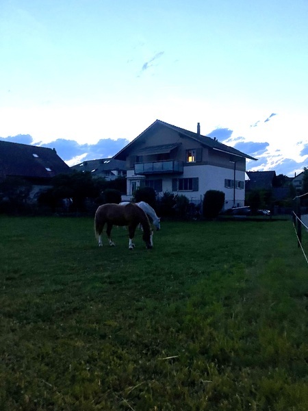 1½ ZI-WOHNUNG IN OPPLIGEN (BE), MÖBLIERT, TEMPORÄR 9