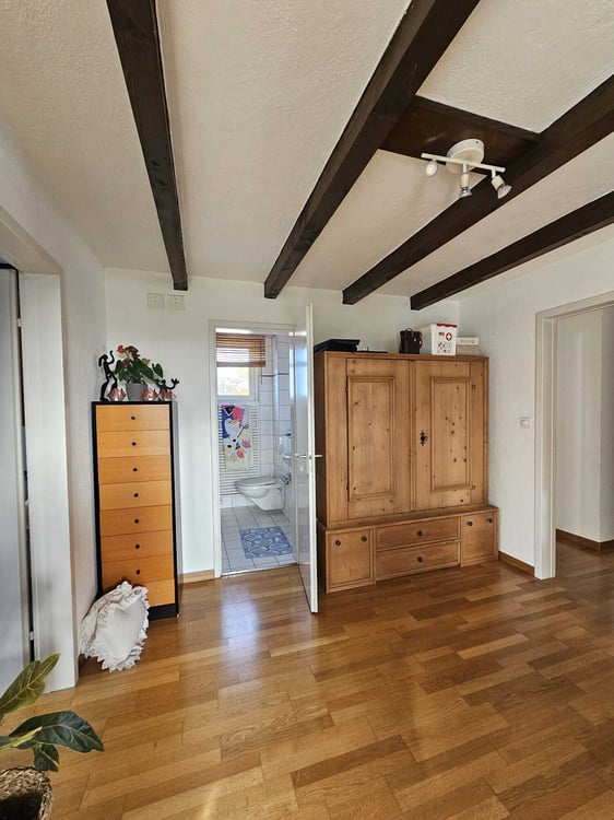 1½ ZI-WOHNUNG IN ST. GALLEN, MÖBLIERT, TEMPORÄR 8