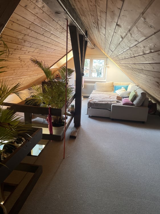 1½ ZI-WOHNUNG IN ST. GALLEN, MÖBLIERT, TEMPORÄR 5