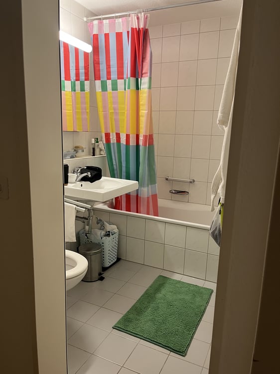 1 ZI-WOHNUNG IN ZÜRICH - KREIS 7 HOTTINGEN, MÖBLIERT, TEMPORÄR 4