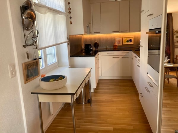 1 ZI-WOHNUNG IN UETIKON AM SEE (ZH), MÖBLIERT, TEMPORÄR 4